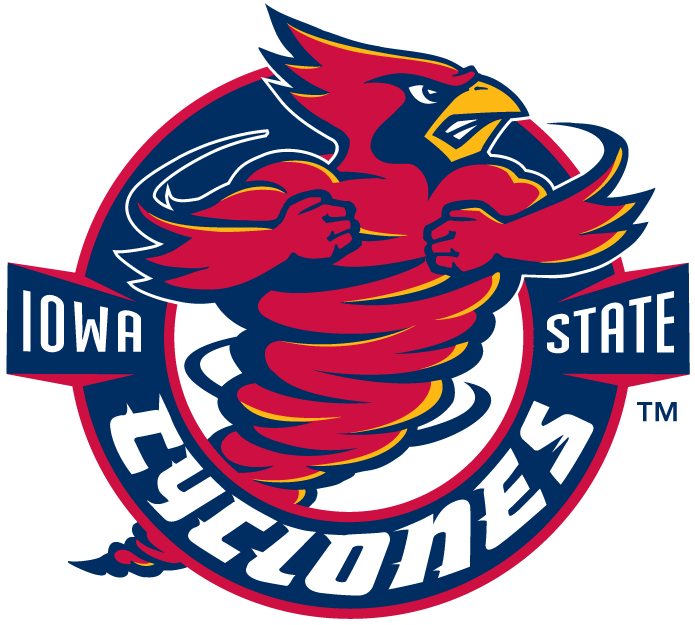 Iowa State Cyclones 1995-2007 Alternate Logo iron on transfers for fabric